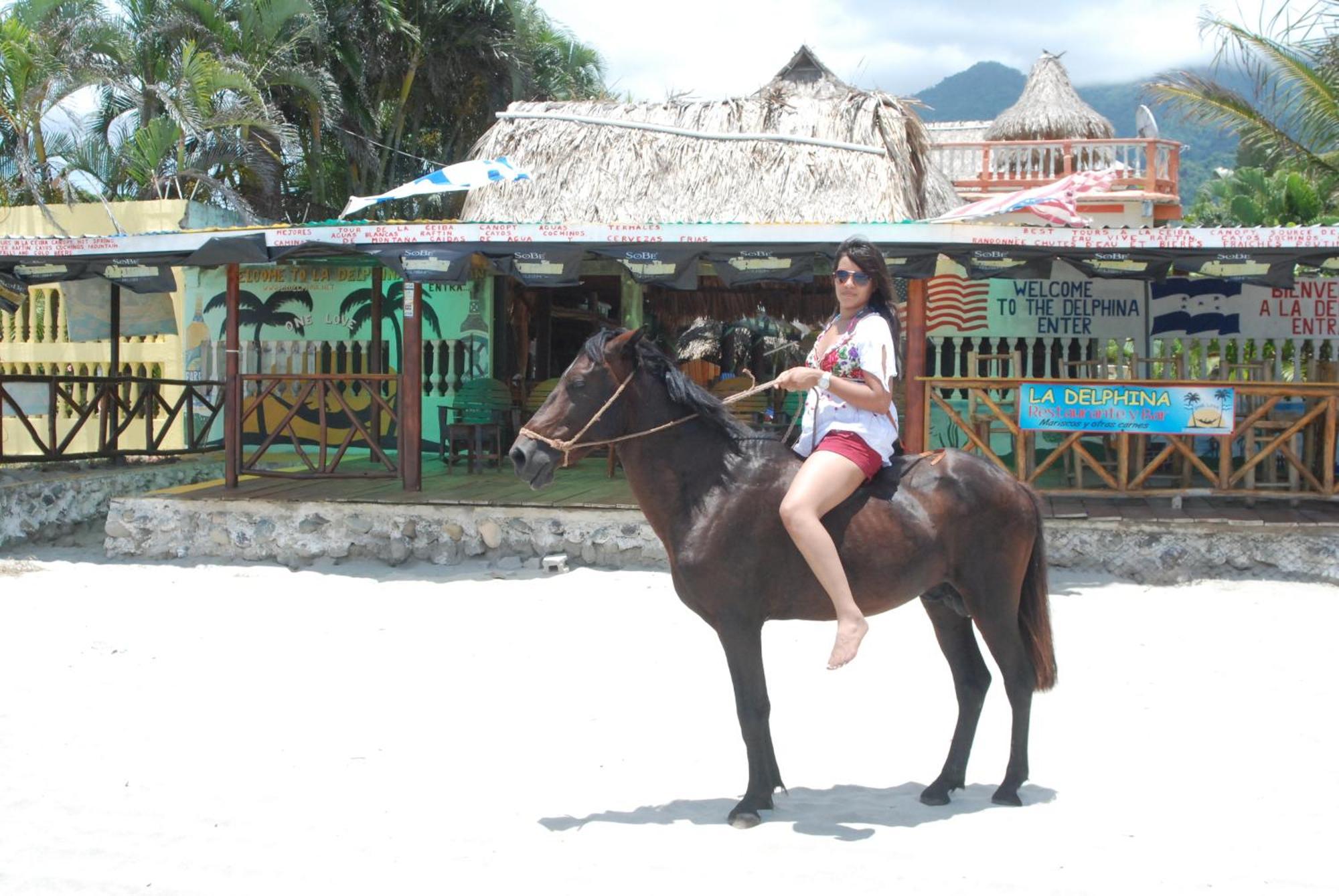 La Delphina Bed And Breakfast Bar And Grill La Ceiba Ngoại thất bức ảnh