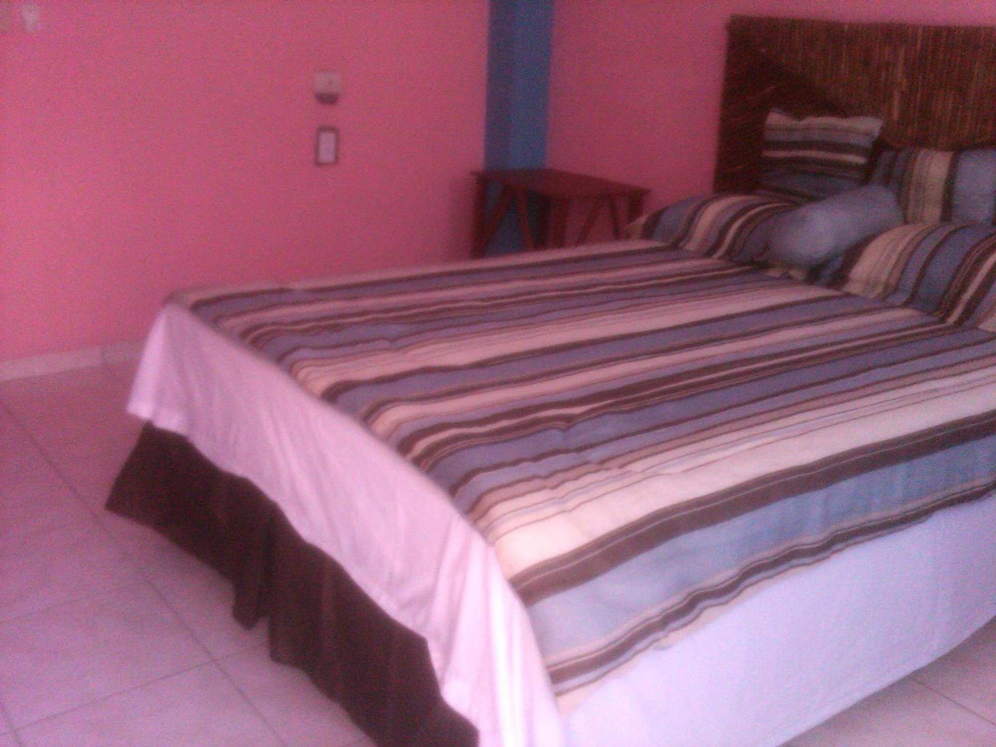 La Delphina Bed And Breakfast Bar And Grill La Ceiba Ngoại thất bức ảnh