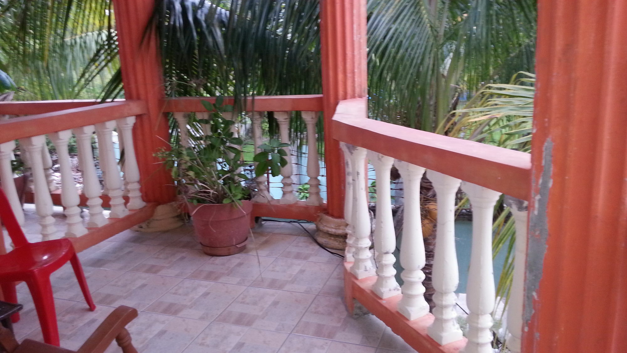 La Delphina Bed And Breakfast Bar And Grill La Ceiba Ngoại thất bức ảnh